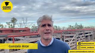 Gonzalo Arce Domizzi Arce SA Rte de Vittori Ercazti Bahía Blanca 6624 [upl. by Eikcor763]