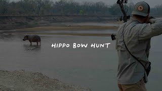 Hippo Bow Hunt  Southerly Pursuit [upl. by Schwitzer]