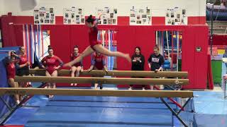 Natick HS Gymnastics  Winter 2024 vs Wellesley HS  Senior Night [upl. by Aniroc84]