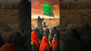 hazrat abbas ki pehli jung aur maidane karbala ka waqiaamazing facts shortsfeed viralvideo [upl. by Dacia]