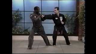 Kenpo Karate Ed Parker American Kenpo Sophisticated Basics Vol 1 [upl. by Wurster846]