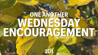 Wed Encouragement One Another [upl. by Nihi894]