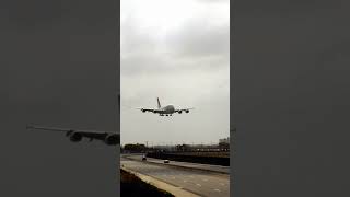 Qantas A380 landing at LAX airplanespotting [upl. by Asetal]