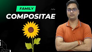 Compositae Family [upl. by Tamra]