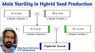 MALE STERILITY IN HYBRID SEED PRODUCTION [upl. by Suiramaj605]