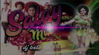 SALAY MIX LOS MAS SONADOS 2023 Dj Beto  contacto 549 1125569260 [upl. by Zirtaeb204]