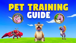 Wizard101 ULTIMATE Pet Training Guide 2024 [upl. by Kantos]