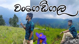 Wangedigala Hike  වංගෙඩිගල  Haritha Gaweshaka  Viduranga Wijerathna  Vlog 5 [upl. by Albright]