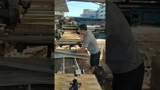 Thin plywood sheets processing [upl. by Geibel]