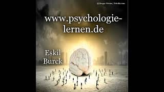 Video Psychologie der unbewussten Beeinflussung Das manipulierte Gehirn [upl. by Areip]