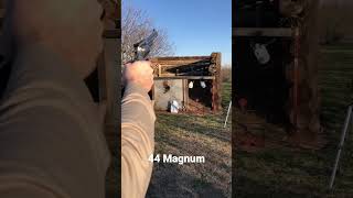 44 Special vs 44 Magnum [upl. by Nage585]