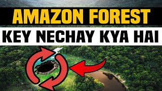 Whats Under The Amazon Forest  Amazon Forest  Story Of Amazon  Hindi Story  arz e pakistan [upl. by Landrum]