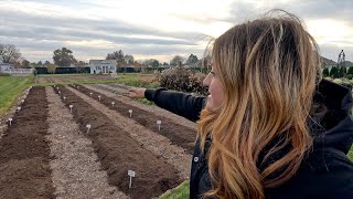 Planting Lots of Daffodils amp Tulips in the Cut Flower Garden 🌷🙌✂️  Garden Answer [upl. by Muriah]