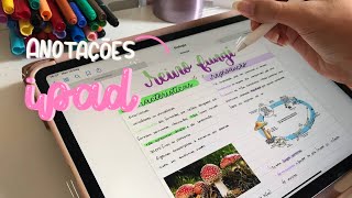 COMO FAÇO MINHAS ANOTAÇÕES NO IPAD resumos no ipad anotações digitais e studyvlog [upl. by Val]