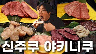 🥩도쿄 신주쿠 고기 무한리필집 야키니쿠 텐류 마사시로드 ep19 [upl. by Hgiellek]