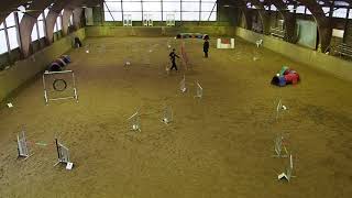 Fouria Agility Wahlstedt 10 12 2017 JO [upl. by Kate]