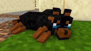 WOLF LIFE LONELY PUPPY WAITS FOR HELP  Sad Story  Good Ending  Minecraft Animation [upl. by Kathy893]