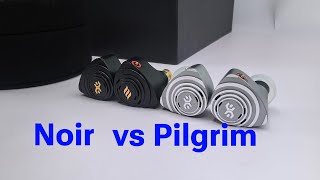 Elysian Pilgrim Noir vs Pilgrim OG  Review amp Comparison [upl. by Niles]