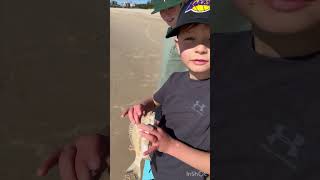 Bream session of Tuncurry Beach with live worms 🪝 🪱 🐟 shorts fishing beach beachfishing [upl. by Reahard622]