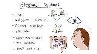 Strømme syndrome [upl. by Hart]