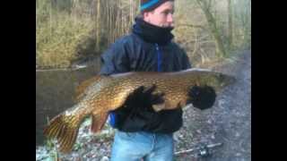 Monster Pike at Jumbles Reservoir Bolton 30122012 [upl. by Nidnerb]