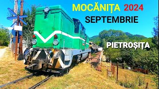 MOCANITA SEPTEMBRIE 2024  PIETROSITA [upl. by Treborsemaj904]