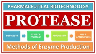 PROTEASE ENZYME  PART1  TYPES  CLASSIFICATION  ROLE OF ENZYME  FUNCTION [upl. by Malkin764]