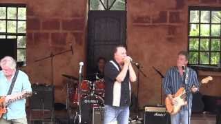 Downchild Blues Band  BJBF 2014 [upl. by Coleen415]