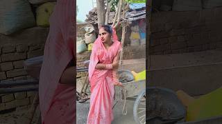 Bhauji hamse hase bole ke padi shorts shortvideo [upl. by Nordek]