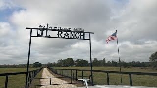 Longhorn Lesters is at JL Ranch [upl. by Gun]