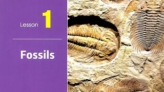 Prep 2 \ Science 2025  1st term \ unit 3\ Lesson 1  Fossils ساينس ثانية إعدادى لغات [upl. by Caia]