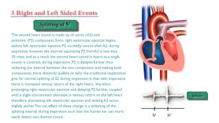 Heart sounds and Murmurs  Only sounds not a lecture [upl. by Say]