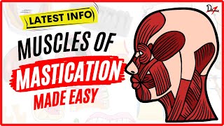 Muscles of Mastication Made Easy [upl. by Ahsas]