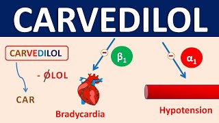 Carvedilol  Mechanism precautions side effects amp uses [upl. by Nylaf]