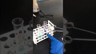 10 Biuret test for proteins and amino acids [upl. by Snashall]