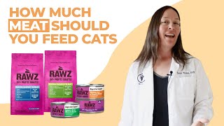 How Much Meat Should You Feed Your Cat Vet Explains [upl. by Rehportsirhc467]