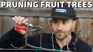 How To Prune Fruit Trees For SMALL Size And MAXIMUM Production [upl. by Schumer360]