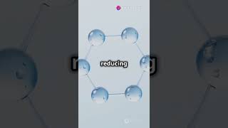 How Capillary Action facts physicsfacts physicistyoutubeshorts science new [upl. by Anitsirhk246]