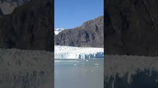 Passing the Margerie Glacier alaska glacier cruise [upl. by Amlev179]