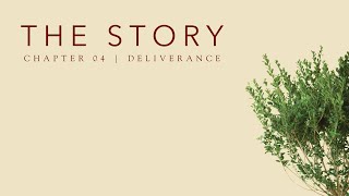 The Story Chapter 4  Pastor Jedidiah Scharmer [upl. by Nnyl]