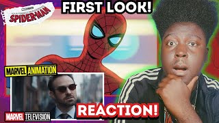 MARVEL TELEVISION 2025  OFFICIAL TRAILER REACTION [upl. by Ludie553]