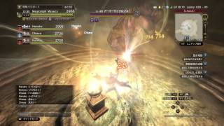 DDON ゾーンオブザゴッドLv10 実は強いプリースト ドラゴンズドグマ オンライン [upl. by Eniaj]