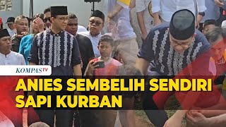 Momen Anies Sembelih Sapi Kurban Sendiri Saya Bayangkan Rasanya Jadi Nabi Ibrahim [upl. by Acinoreb]