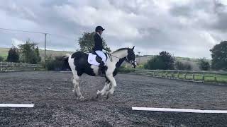 ED 2 Preliminary 12 dressage test 2016 [upl. by Heywood]