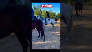 I Went Horseback Riding With YouTubes NEXT Biggest Creator [upl. by Allecram]