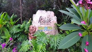 Xenotes Oasis Maya Tour Kaak Xenote Fuego Kaak swimming Cenote POV Cancun Cenotes Mexico Gopro 4K [upl. by Nwadahs]