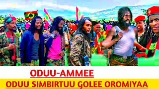 Oduu Afaan Oromo Guyyaa Hardhaa Injifannoo Cululuqaa WBO Ammee Afaan Oromoo [upl. by Avuha]