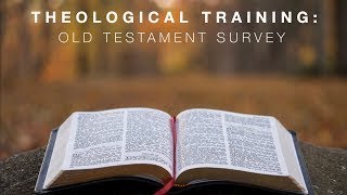 Lesson 25 Old Testament Survey [upl. by Arihsat]