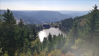 Wanderung auf die Hornisgrinde 13102023 [upl. by Atse563]