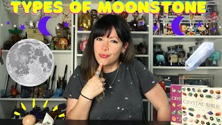 TYPES OF MOONSTONE  Crystals for beginners 🔮 [upl. by Aitnas246]